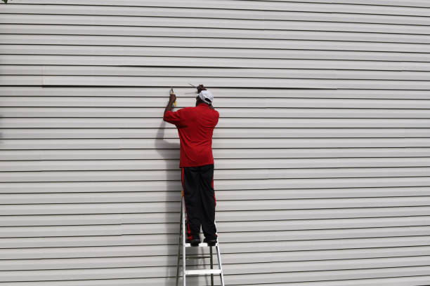 Best Steel Siding Installation  in Ironton, MO